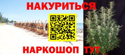 шишки Кингисепп