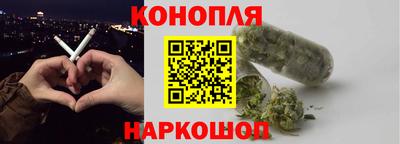 шишки Кингисепп