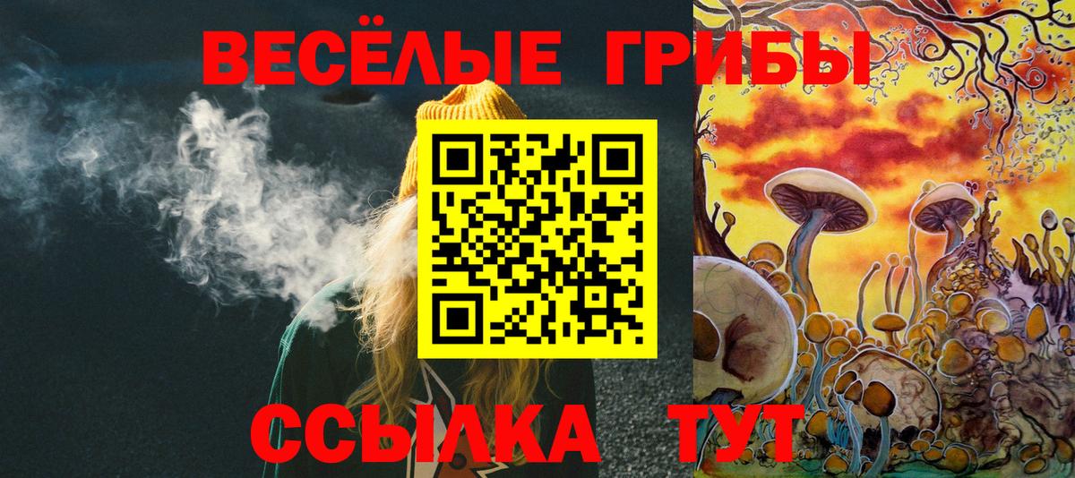 Псилоцибиновые грибы Cubensis Заречный