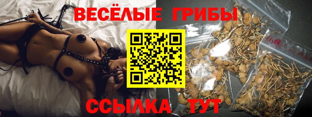 Галлюциногенные грибы мицелий  Вход с VPN  Галлюциногенные грибы мицелий  Заречный 